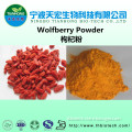 Top quality goji berry powder/black goji berry powder